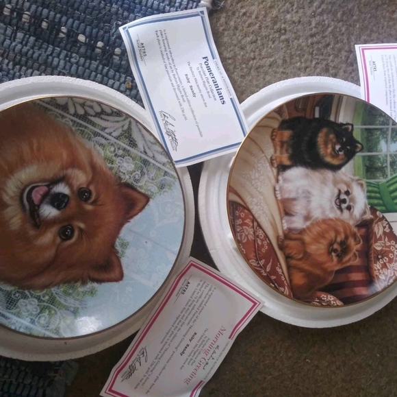 Plates( Pomeranian ) - Picture 3 of 5